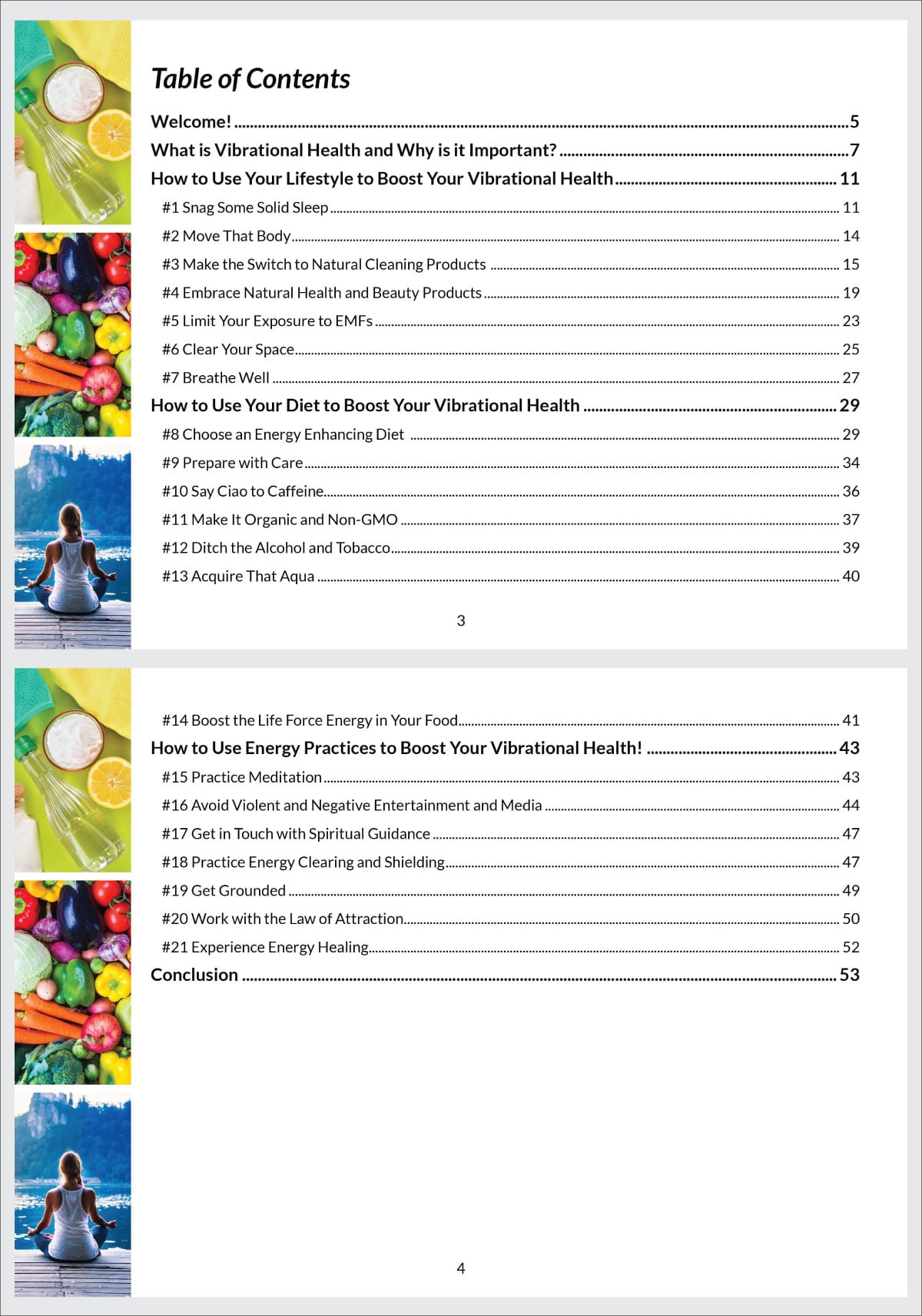 Sneak peak at the Table of Contents of the Vibrational Health Guide